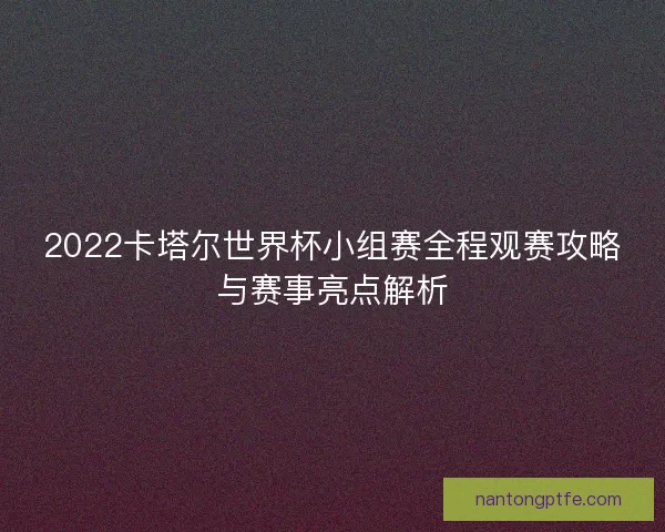 2022卡塔尔世界杯小组赛全程观赛攻略与赛事亮点解析